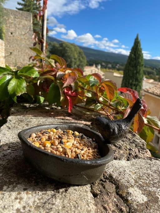 Maisonnette Bedoin Mont Ventoux 外观 照片